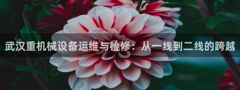 天宏娱乐818：武汉重机械设备运维与检修：从一线到二线的跨越