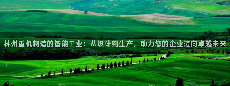 天宏娱乐晨叔：林州重机制造的智能工业：从设计到生产，助力您的
