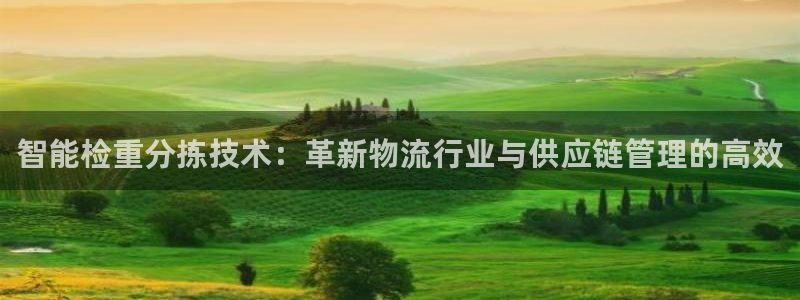 天跃娱乐天宏娱乐：智能检重分拣技术：革新物流行业与供应链管理