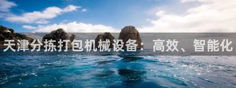 天宏娱乐app：天津分拣打包机械设备：高效、智能化