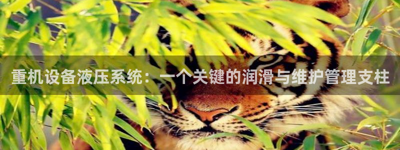 天宏娱乐a 判官：重机设备液压系统：一个关键的润滑与维护管理