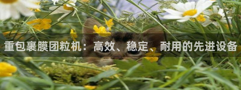 天宏娱乐q34189：重包裹膜团粒机：高效、稳定、耐用的先进