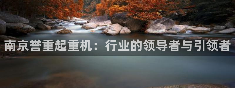 天宏3娱乐：南京誉重起重机：行业的领导者与引领者