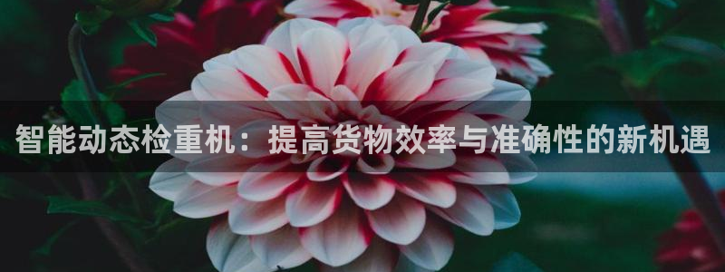 天宏娱乐刘叔：智能动态检重机：提高货物效率与准确性的新机遇