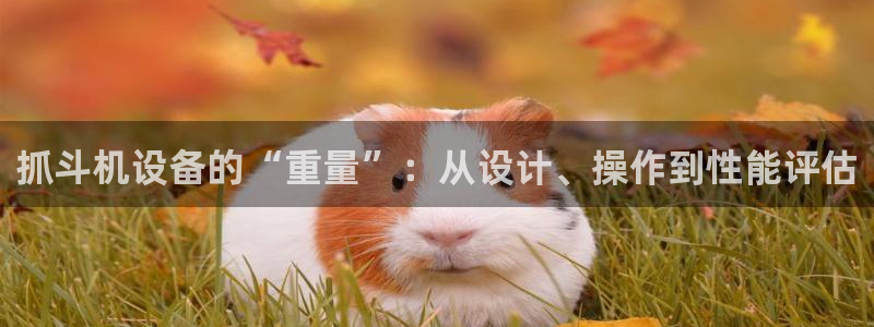 天宏娱乐宝：抓斗机设备的“重量”：从设计、操作到性能评估