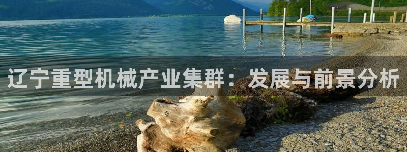 天宏娱乐河源店地址查询：辽宁重型机械产业集群：发展与前景分析
