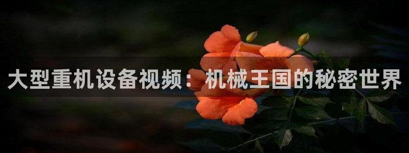 天宏娱乐言叔：大型重机设备视频：机械王国的秘密世界