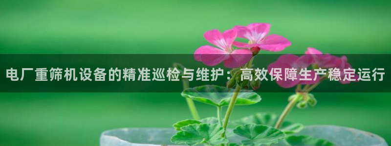 天宏娱乐l 判官：电厂重筛机设备的精准巡检与维护：高效保障生
