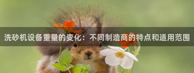 天宏娱乐直播团：洗砂机设备重量的变化：不同制造商的特点和适用