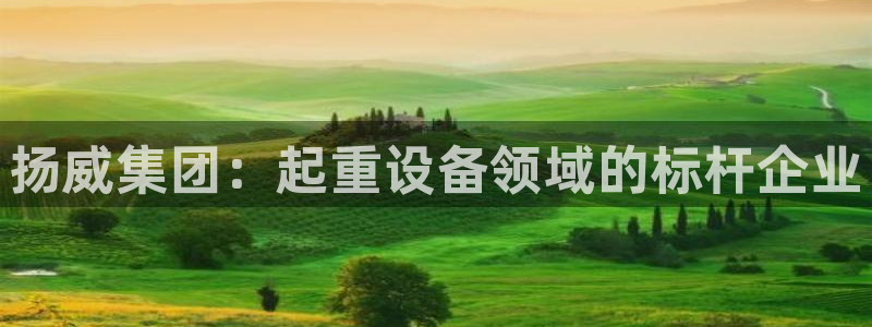 天宏娱乐北北：扬威集团：起重设备领域的标杆企业
