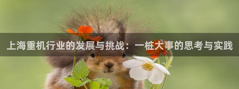 天宏娱乐c 判官