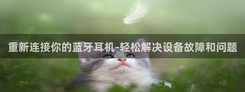 天宏娱乐直播团队名单