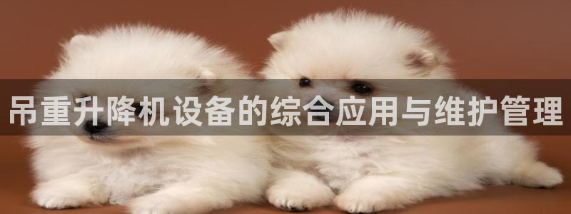 天宏娱乐团队：吊重升降机设备的综合应用与维护管理