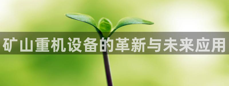 天宏娱乐杨叔：矿山重机设备的革新与未来应用