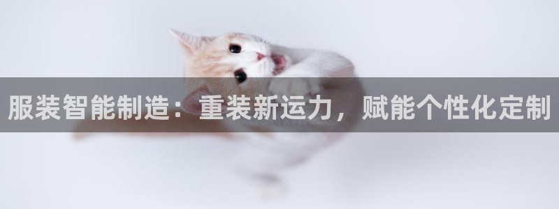 天宏娱乐大叔团队介绍视频