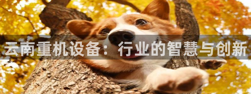 天亿娱乐宏发团队