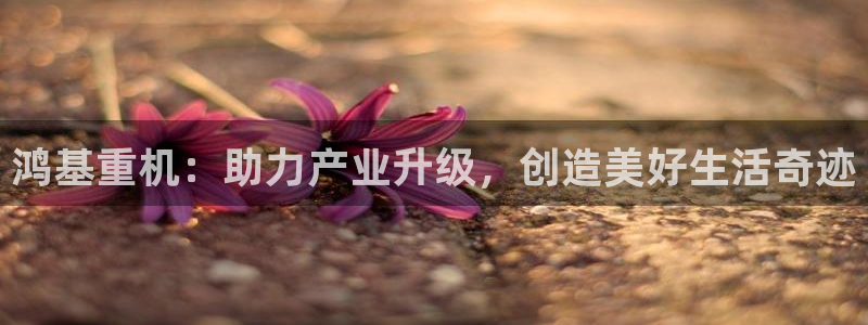 宏天皓星娱乐：鸿基重机：助力产业升级，创造美好生活奇迹