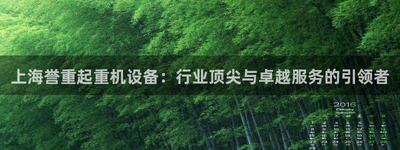 天宏娱乐的老板是谁