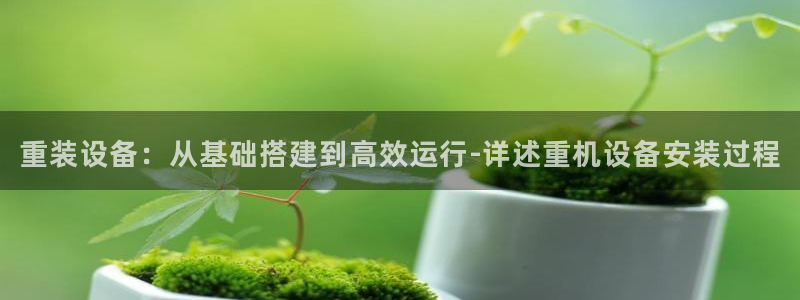 天宏娱乐秦叔的大哥