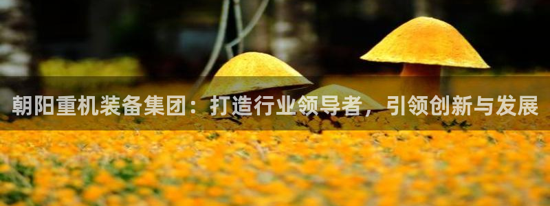 天宏娱乐app的下载