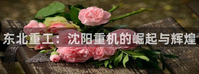 天宏娱乐广西吴叔：东北重工：沈阳重机的崛起与辉煌