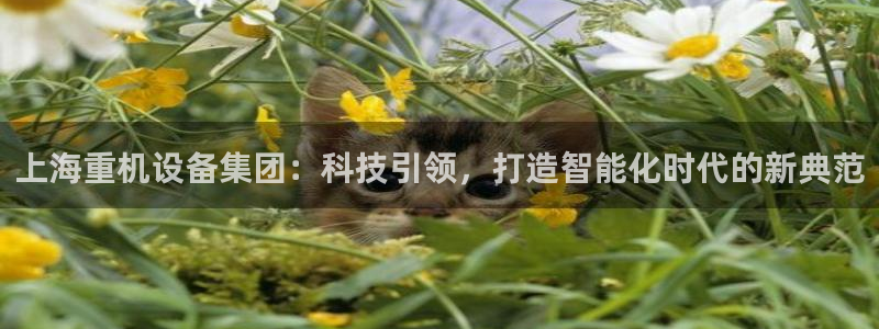 天宏娱乐朱俊伟：上海重机设备集团：科技引领，打造智能化时代的