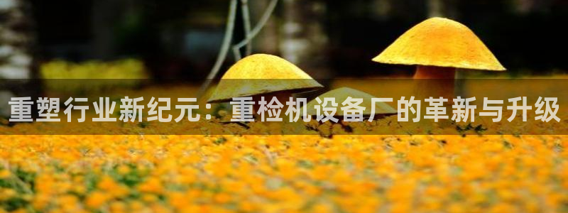 天宏娱乐集团董事长