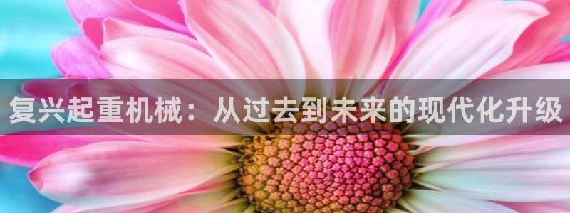 天宏娱乐丨金手指17：复兴起重机械：从过去到未来的现代化升级