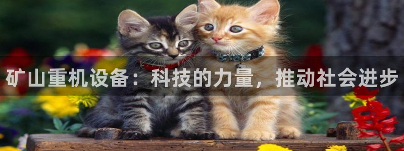 天宏娱乐怎样赚钱的啊