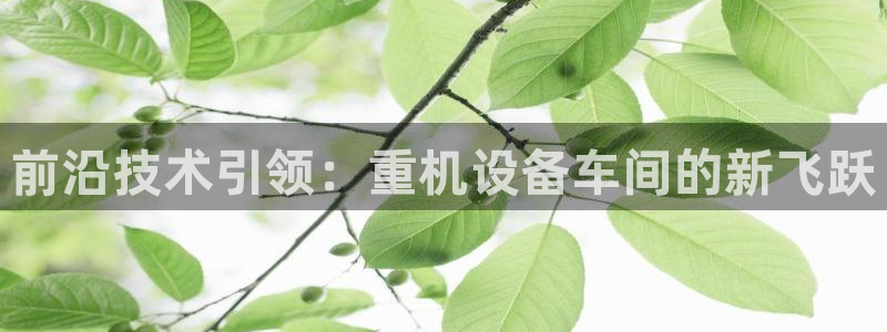 天宏娱乐q31.661：前沿技术引领：重机设备车间的新飞跃