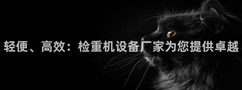 天宏娱乐i OO判官：轻便、高效：检重机设备厂家为您提供卓越