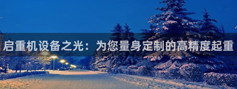 快手天宏娱乐是什么：启重机设备之光：为您量身定制的高精度起重