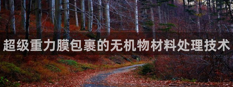 义宏娱乐林天毅
