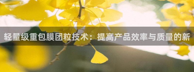 天宏娱乐魏叔：轻量级重包膜团粒技术：提高产品效率与质量的新