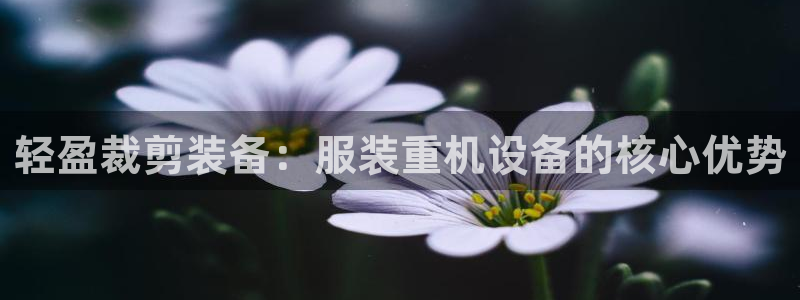 天宏娱乐e 判官：轻盈裁剪装备：服装重机设备的核心优势