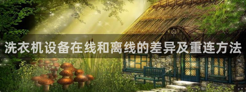 天宏娱乐陈叔：洗衣机设备在线和离线的差异及重连方法