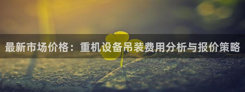 天宏娱乐王总