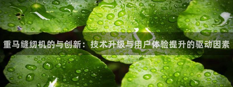 天亿娱乐宏发团队招聘：重马缝纫机的与创新：技术升级与用户体验