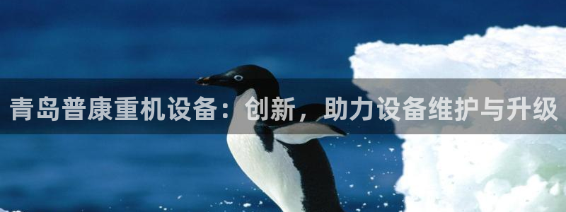 天宏娱乐注册官方：青岛普康重机设备：创新，助力设备维护与升级