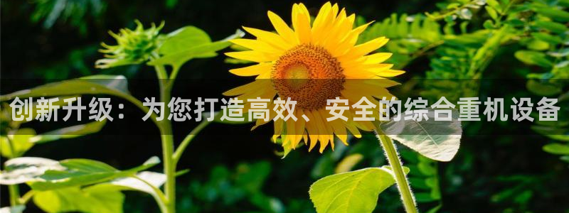 天宏娱乐指挥官
