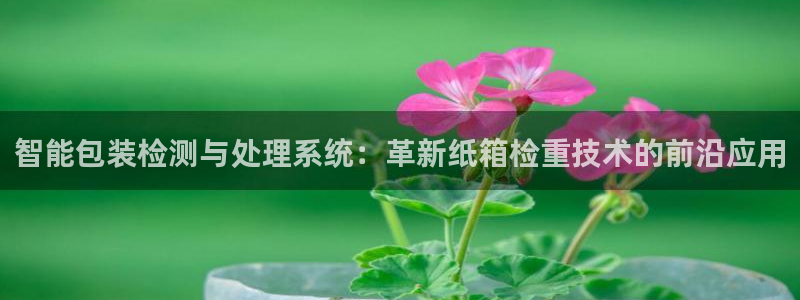 天宏娱乐河源店在哪里