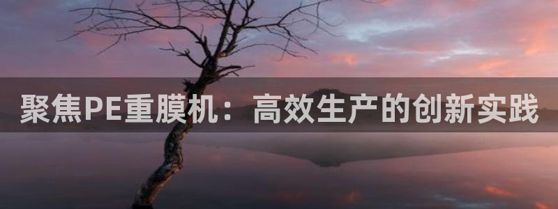 天宏娱乐豆豆团：聚焦PE重膜机：高效生产的创新实践